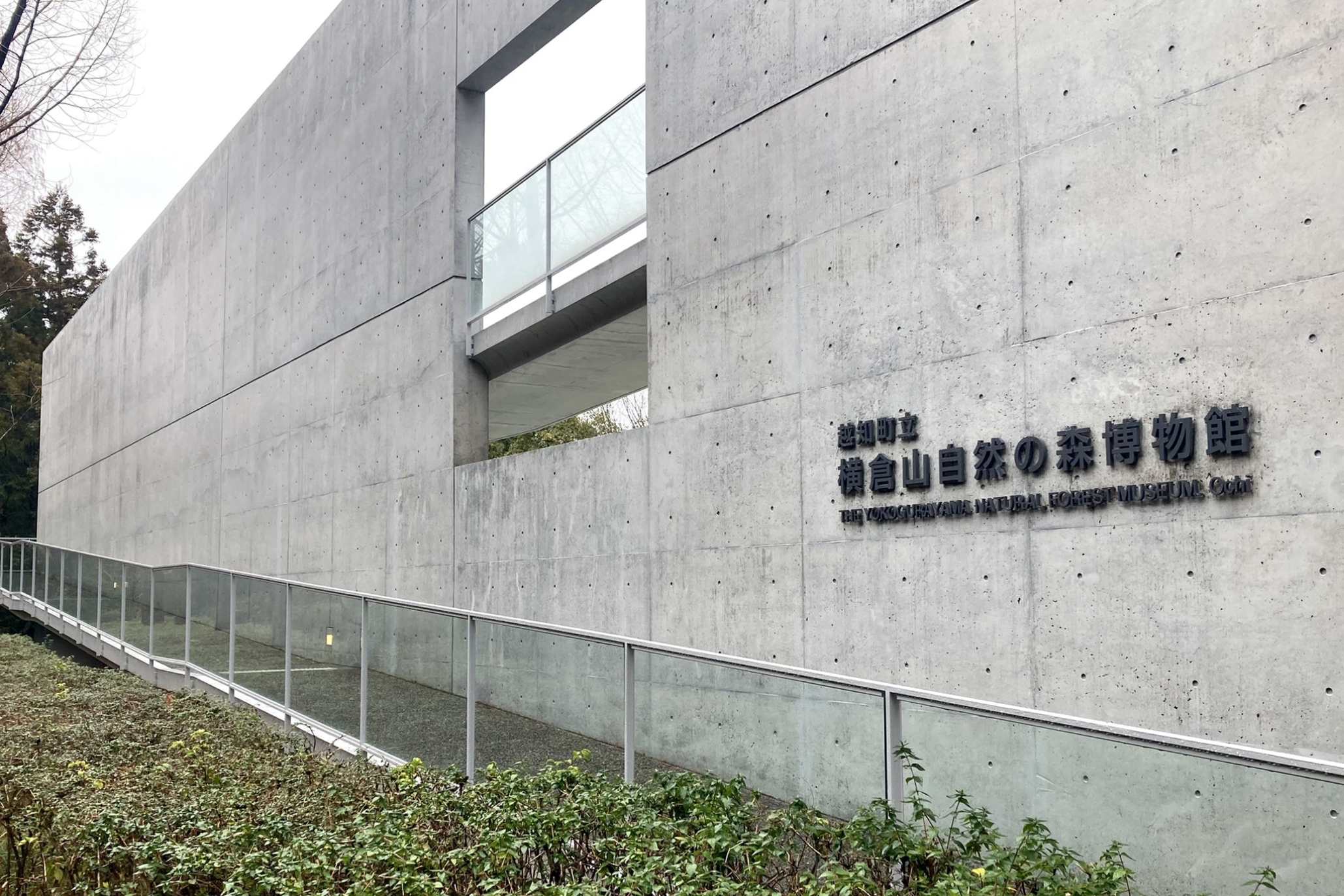 まだある竜そばスポット③：横倉山自然の森博物館